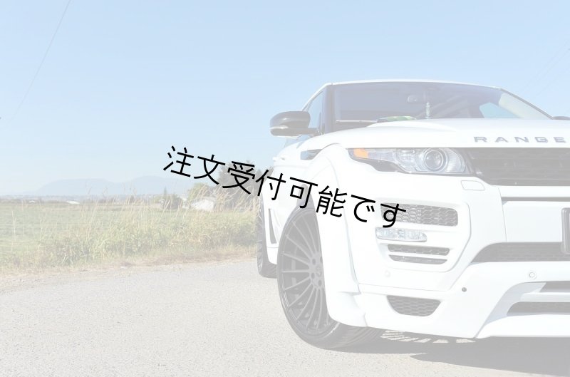 画像1: ランドローバー◆2012〜2019 イヴォーク EVOQUE 5D用 HAMANnタイプ ワイドボディセット/ワイドフェンダー/ボディキット/エアロキット/ハーマン (1)