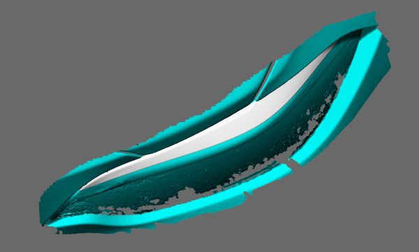 画像10: ◆BMW F22/F23 2シリーズクーペ/カブリオレ F87M2 用カーボンヘッドライトアイラインセット/ライトガーニッシュ/アイライン/220/240/M2/DRYCARBON (10)