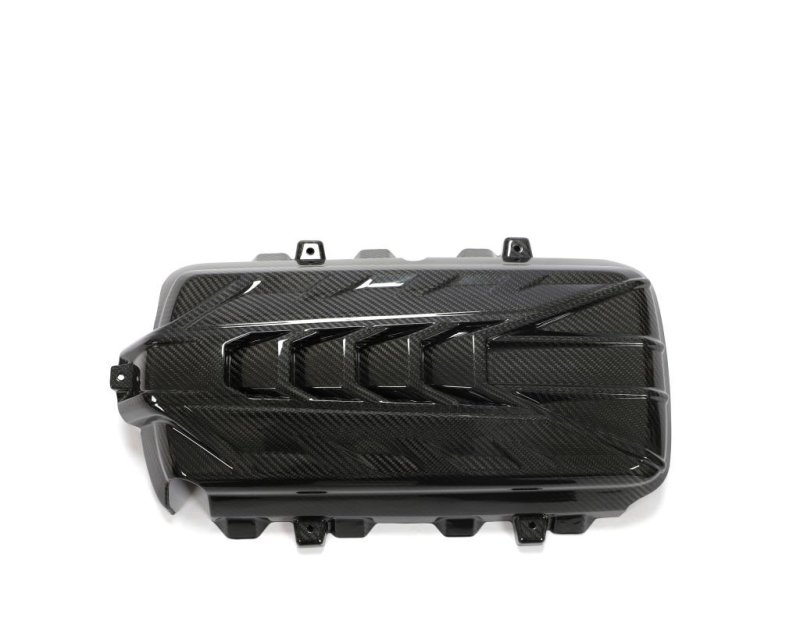 画像1: ドライカーボン◆シボレー C8 コルベット 6Lエンジン用本物カーボンエンジンカバー/CORVETTE/綾織カーボン/DRYCARBON/2021y〜 (1)