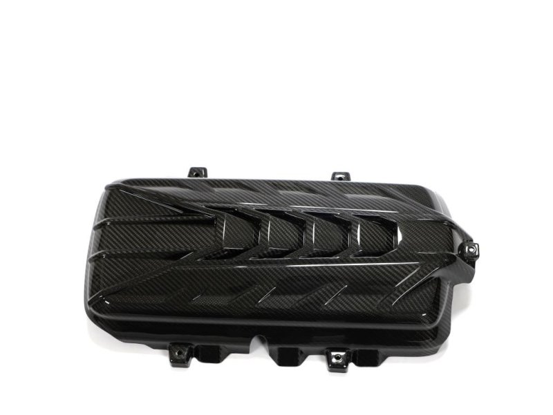画像6: ドライカーボン◆シボレー C8 コルベット 6Lエンジン用本物カーボンエンジンカバー/CORVETTE/綾織カーボン/DRYCARBON/2021y〜 (6)