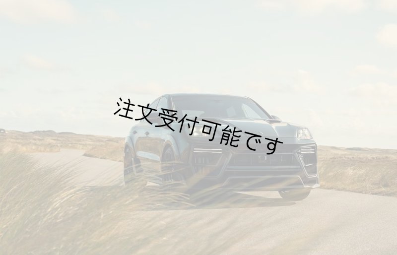 画像1: ドライカーボン◆ポルシェ 9Y0.2 カイエン用 Techar t仕様 マグナム カーボンワイドボディーキット/PORSCHE/Cayenne/MAGNUM/テック アート/E3/バンパー/フェンダー/ボンネット/ウイング (1)